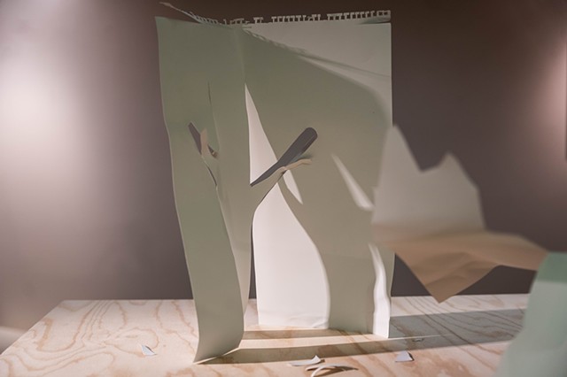 In Order to Still Life