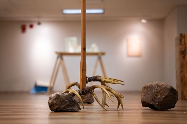In Order to Still Life Gallery View