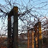 morton arboretum