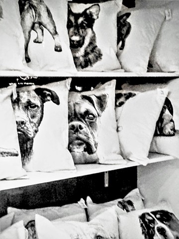 Dog Pillows