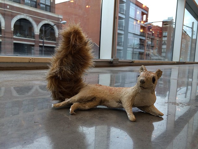 Lounging City Squirrel