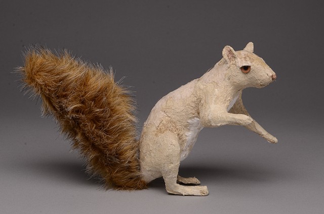 Long Arm Squirrel (side view)
