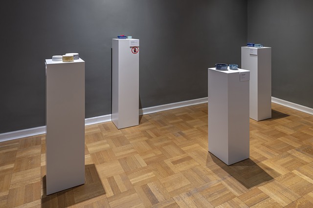 Installation View, BODIES II exhibition at International Museum of Surgical Science