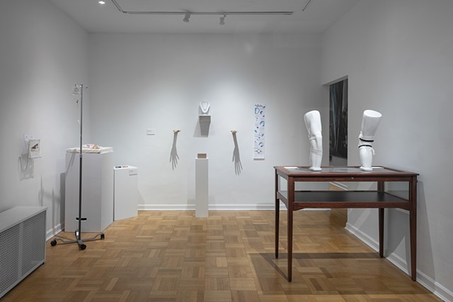 Installation View, BODIES II exhibition at International Museum of Surgical Science