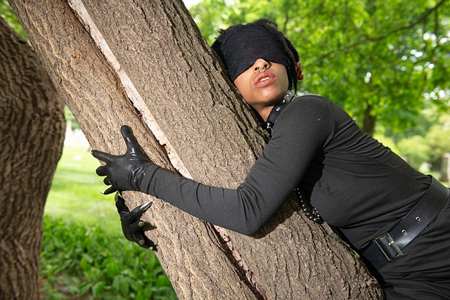 Tree Hugger