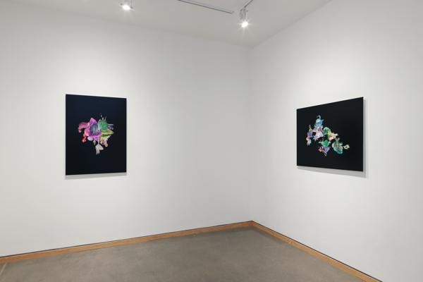 Lattices, Angell Gallery, 2018