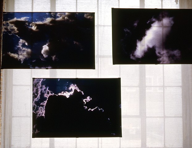 Dog. Armadillo. Bear. Cloud Walker. 2009. Zhou B Center. 3 - 3.5ft x 6ft. Duraclear transparencies.