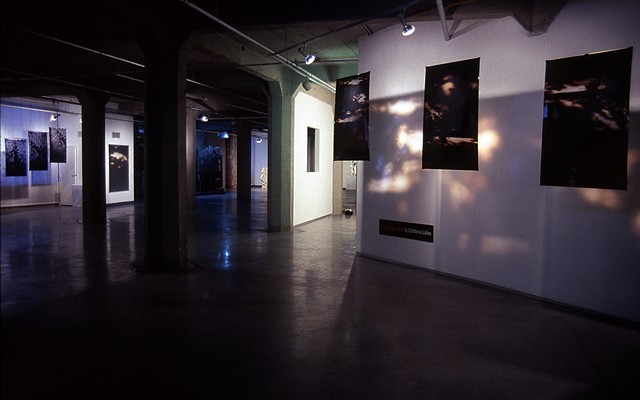 Cloud Walker. Entrance view. 2008. Zhou B Center. 18 - 3.5ft x 6ft. Duraclear transparencies.