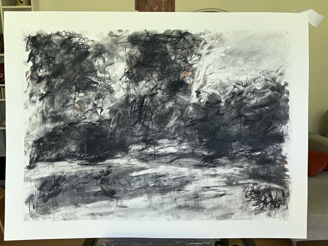 260610 June 10, 2026 conte on 18x24 paper