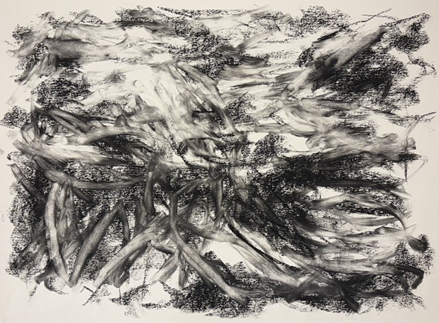 251114 November 14, 2025 conte 18x24" Bee