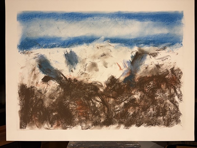 260228 February 18, 2026 conte on 18x24 Bee paper