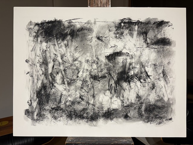 260123 January 23, 2026 conte 18x24"