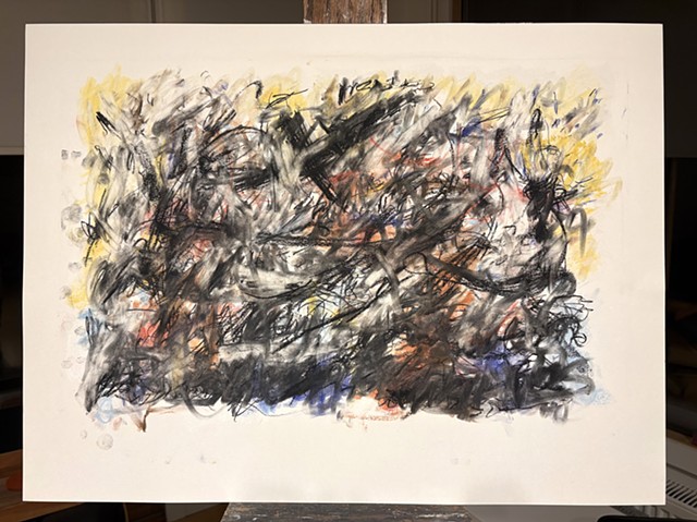 260424 April 24, 2026 conte on 18x24 Bee