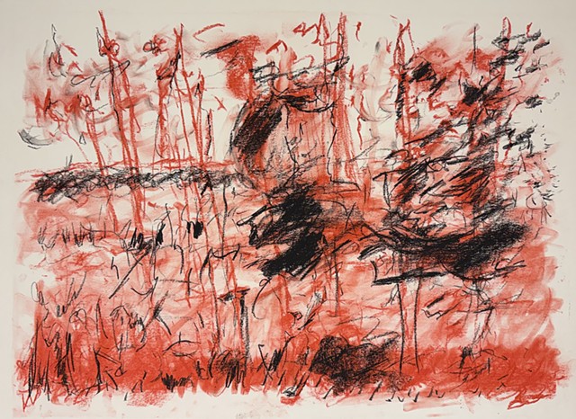 260109 January 9, 2026 conte 18x24"