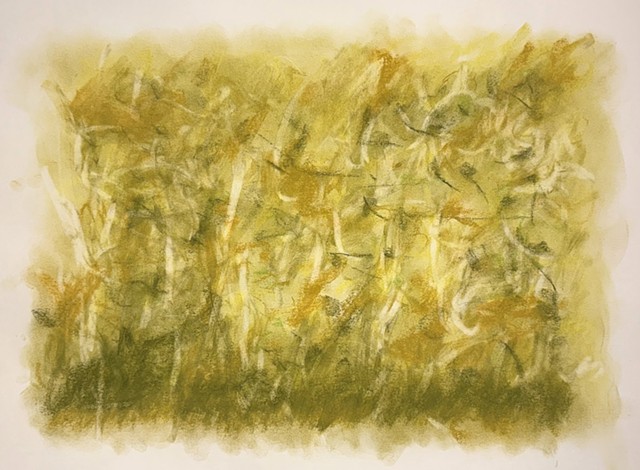 260710 July 10, 2026 conte on 18x24 Ber paper