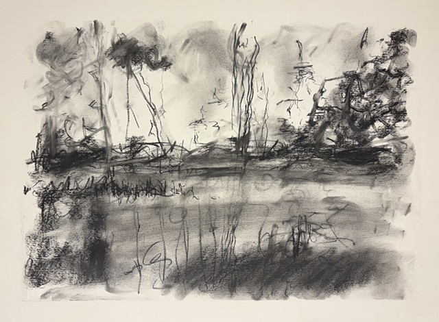 260106 January 6, 2026 conte 18x24