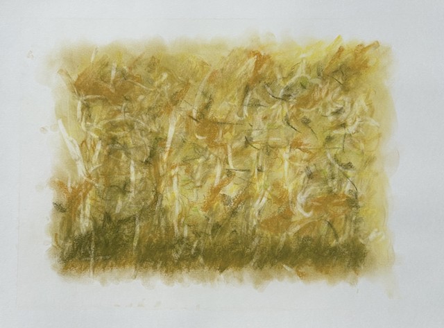 260710 July 10, 2026 conte on 18x24 Bee paper