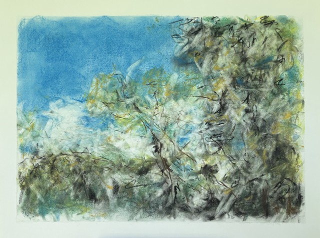 260526 May 26, 2026 conte on 18x24" Bee paper