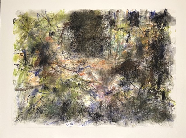 260518 May 18, 2026 conte on 18x24" Bee paper