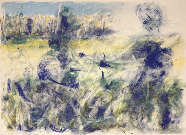 260224 February 24, 2026 conte on 18x24 Bee