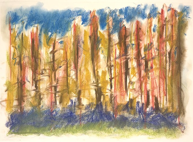 260628 June 28, 2026 conte on 18x24 paper