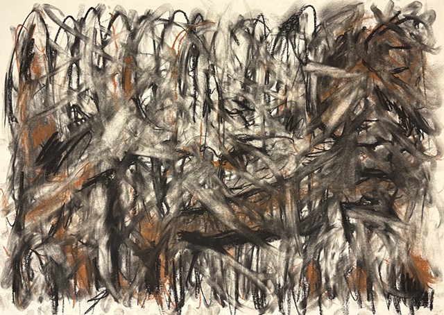 251109 November 9, 2025 conte 18x24 B