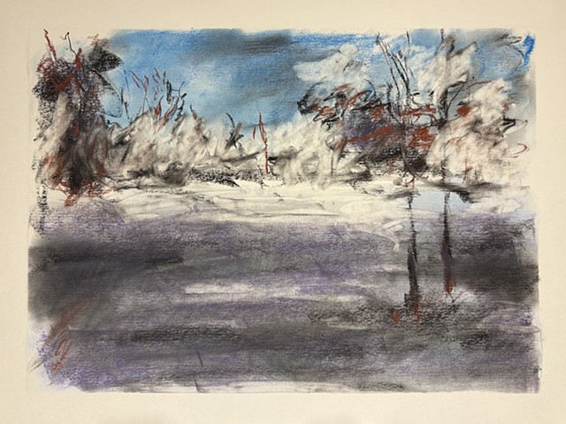 260210 February 10, 2026 conte on 18x24 Bee