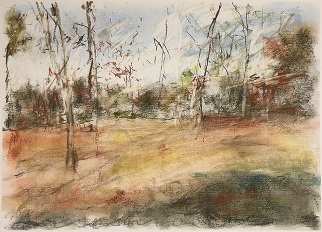 260327 March 27, 2026 conte on 18x24" Bee paper