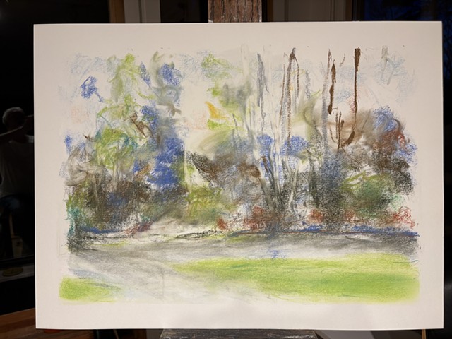 260426 April 26, 2026 conte on 18x24 Bee