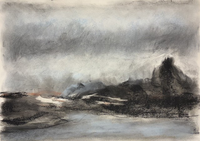 260317 March 17, 2026 conte on 18x24" Bee paper