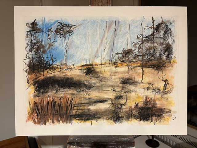 260111 January 11, 2026 conte 18x24"