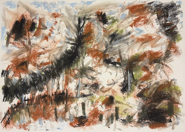 260331 March 31, 2026 conte on 18x24 Bee