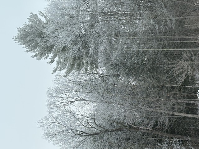 260109 January 9, 2026 -photo