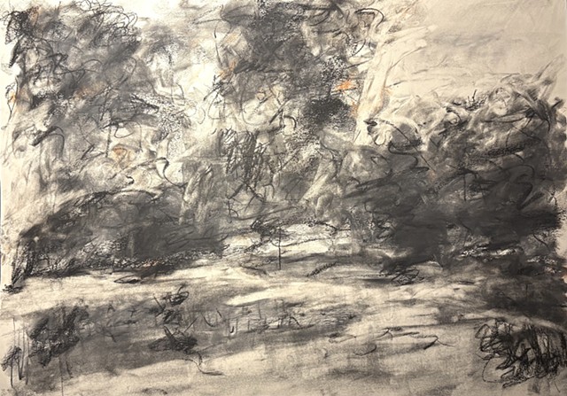 260610 June 10, 2026 conte on 18x24 paper