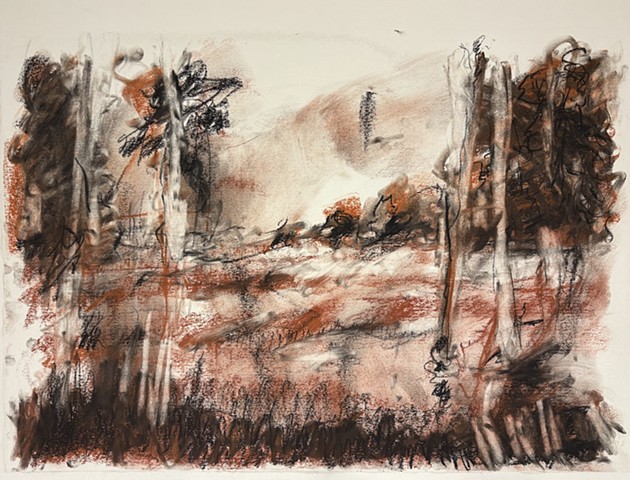 250805 August 4, 3025 conte 18x24 A