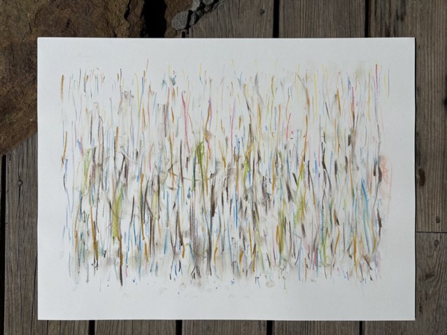 260626 June 26, 2026 conte on 18x24" paper