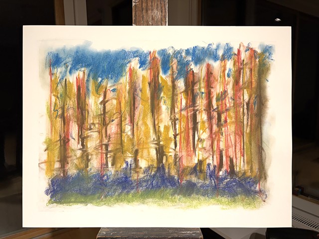 260628 June 28, 2026 conte on 18x24 paper
