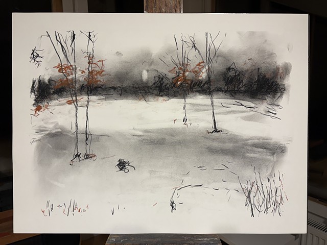 260120 January 20, 2026 conte on 18x24" Bee Super Deluxe Mixed Mexia 90 lb.