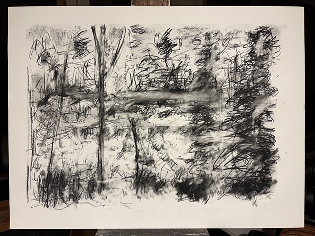 260414 April 14, 2026 conte on 18x24 Bee paper