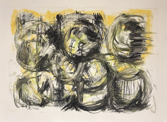 251216 December 16, 2025 conte on Bee paper 18x24"