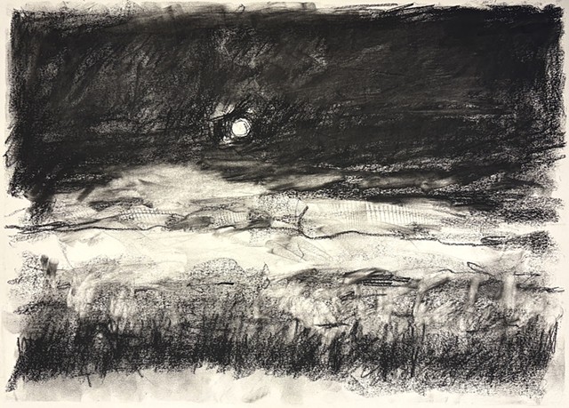 260421 April 21, 2026 conte on 18x24 Bee