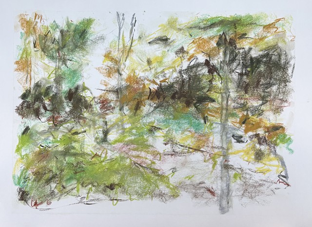 260618 June 18, 2026 conte on 18x24 paper
