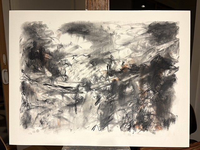 260412 April 12, 2026 conte on 18x24 Bee paper