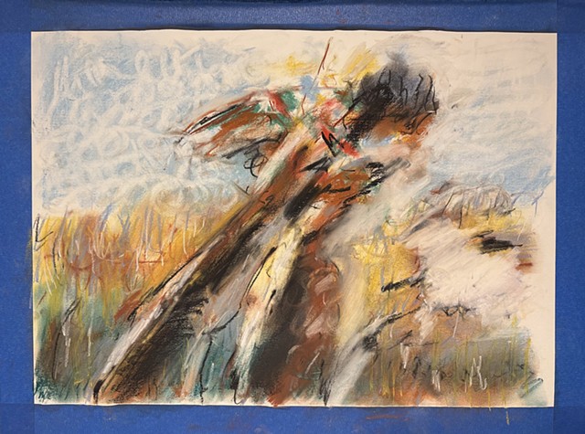 250923 September 23, 2025 conte on 18x24 Bee paper