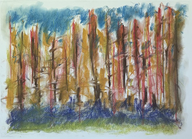 260628 June 28, 2026 conte on 18x24 paper
