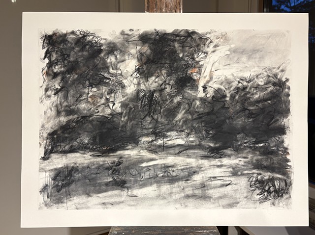 260610 June 10, 2026 conte on 18x24 paper