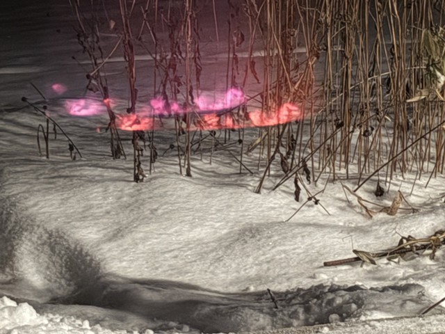 260106 January 6, 2026 -photo