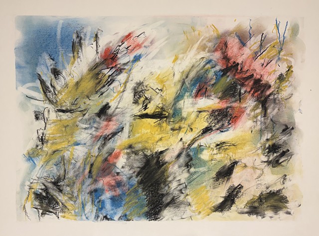 260220 February 20, 2026 conte on 18x24" Bee