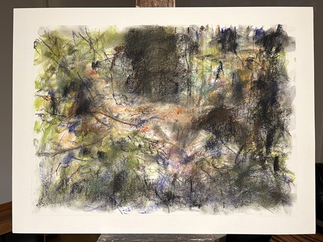 260518 May 18, 2026 conte on 18x24" Bee paper