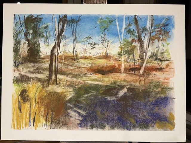 251123 November 23, 2025 conte 18x24